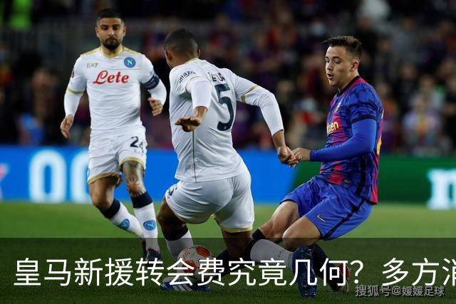 皇马新援转会费究竟几何？多方消息指向“远超”1亿欧元